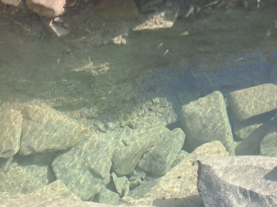 3 Bedroom Property for Sale in Sutherland Northern Cape